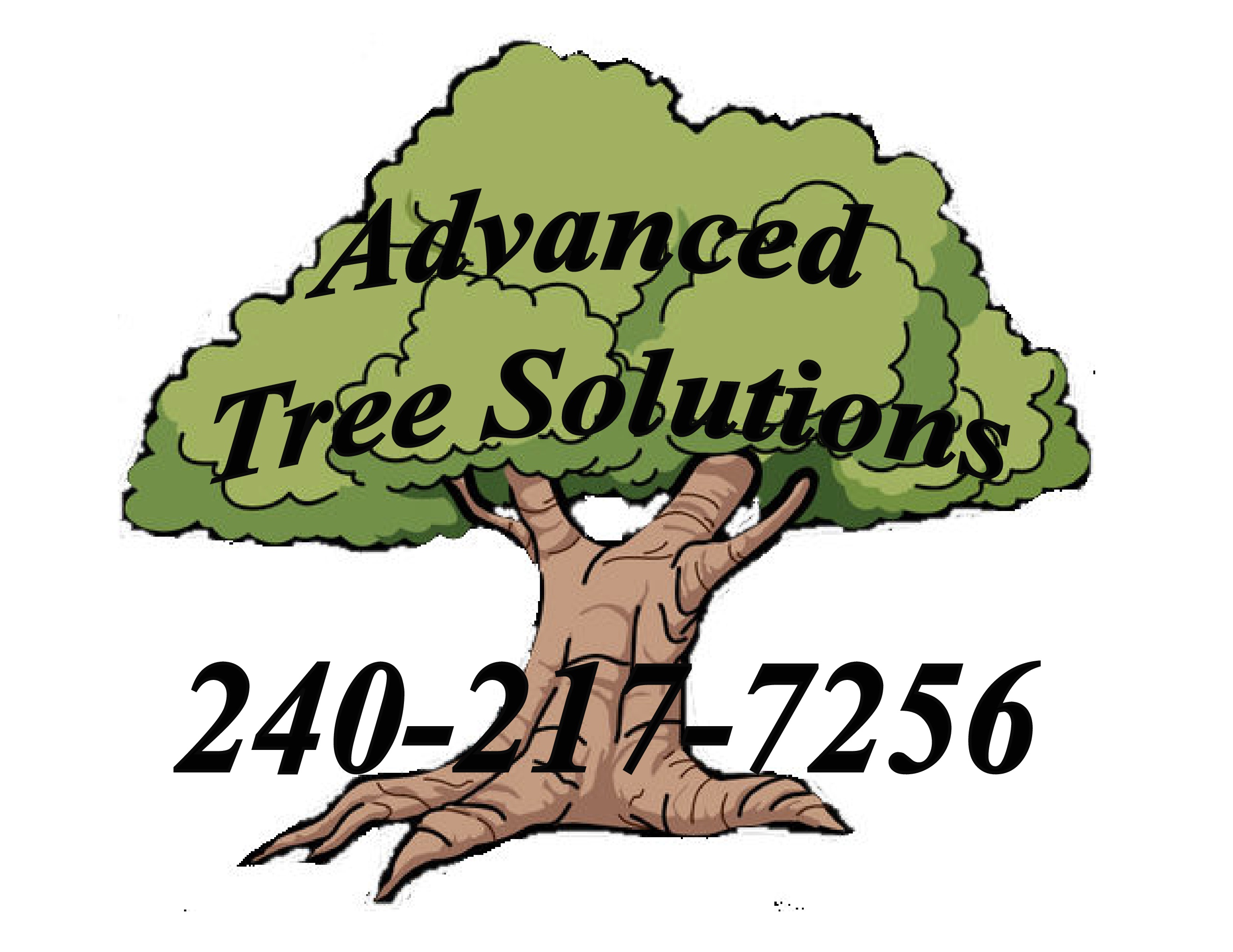 00001 – Advanced Tree Solutions